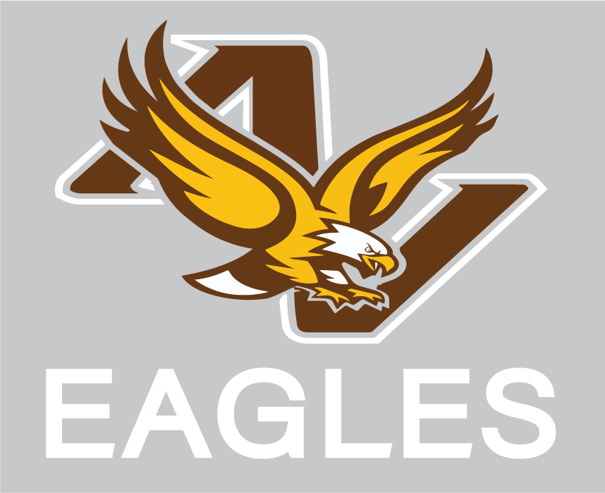 AV Highschool Football - Fleece & Poly Blanket